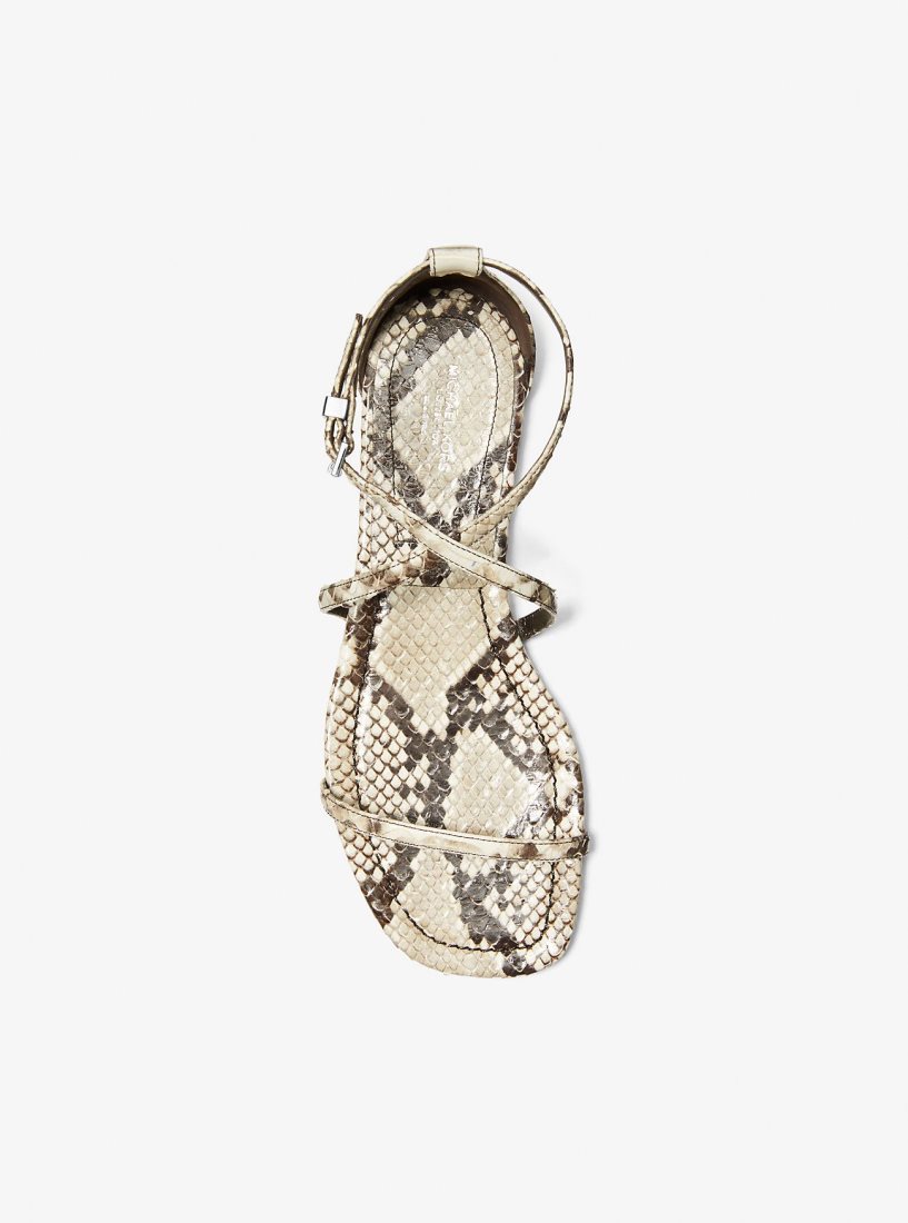 Michael Kors Polly Python Embossed Leather Sandal Flache Schuhe Damen Beige | ORVZBL401